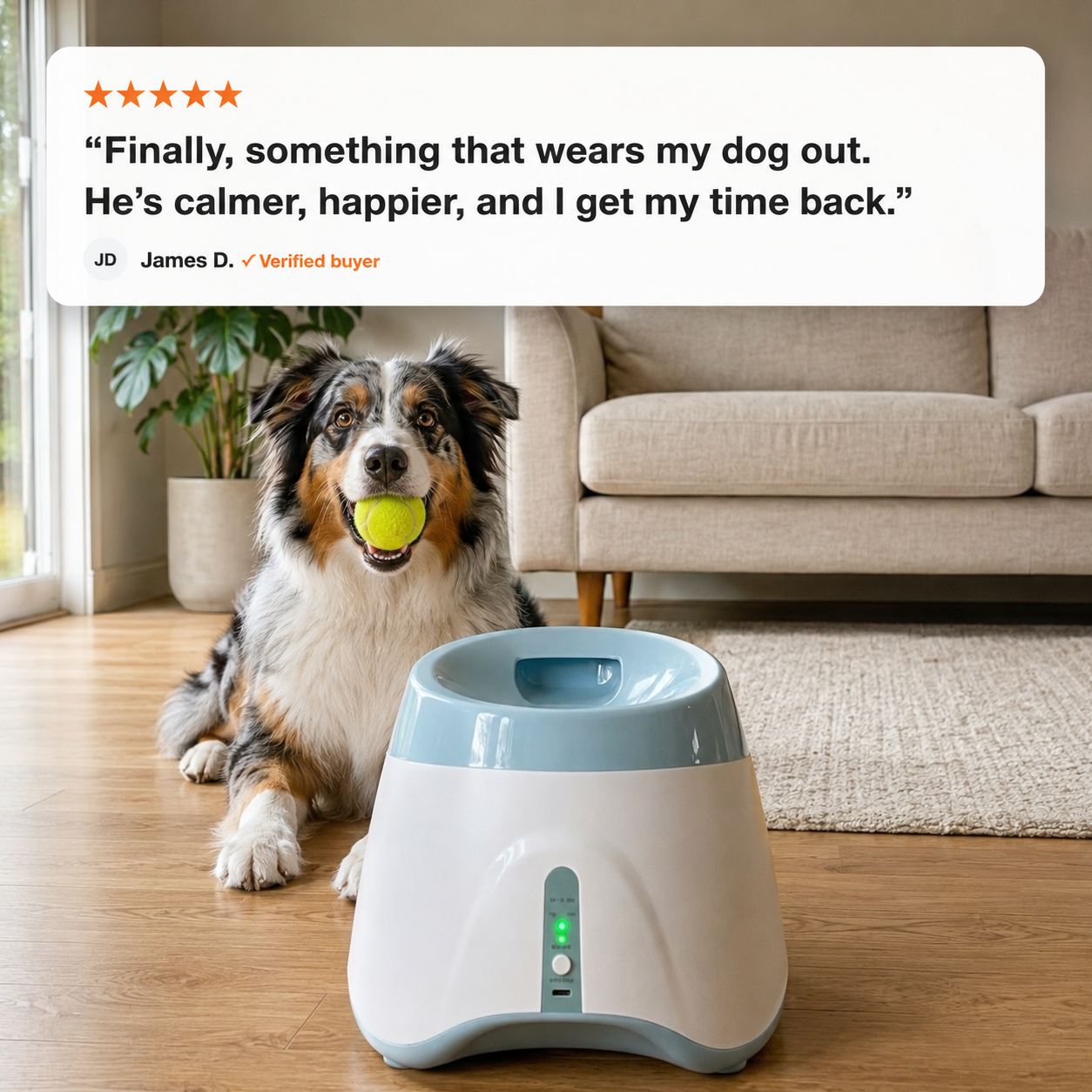 Chase Pup Ball Launcher